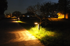 2015/04/18_夕暮れのさきたま古墳公園