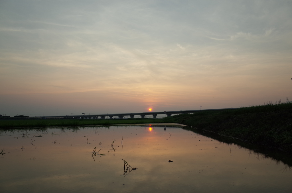 2015/07/12_水田の夕暮れ