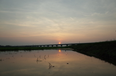 2015/07/12_水田の夕暮れ