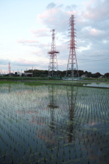 2015/06/06_水田の夕暮れ