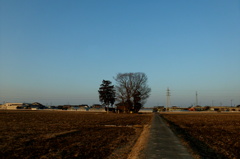 2014/02/23_田んぼの中の神社