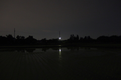 2015/05/23_夜の水田