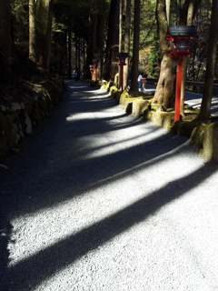 2019/04/13_貴船神社 奥宮参道の陰影