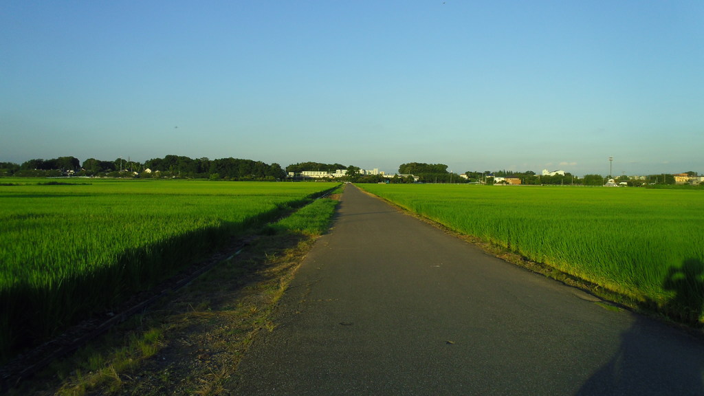 2012/08/05_田園