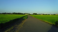 2012/08/05_田園