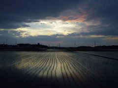 2017/06/10_水田の夕暮れ