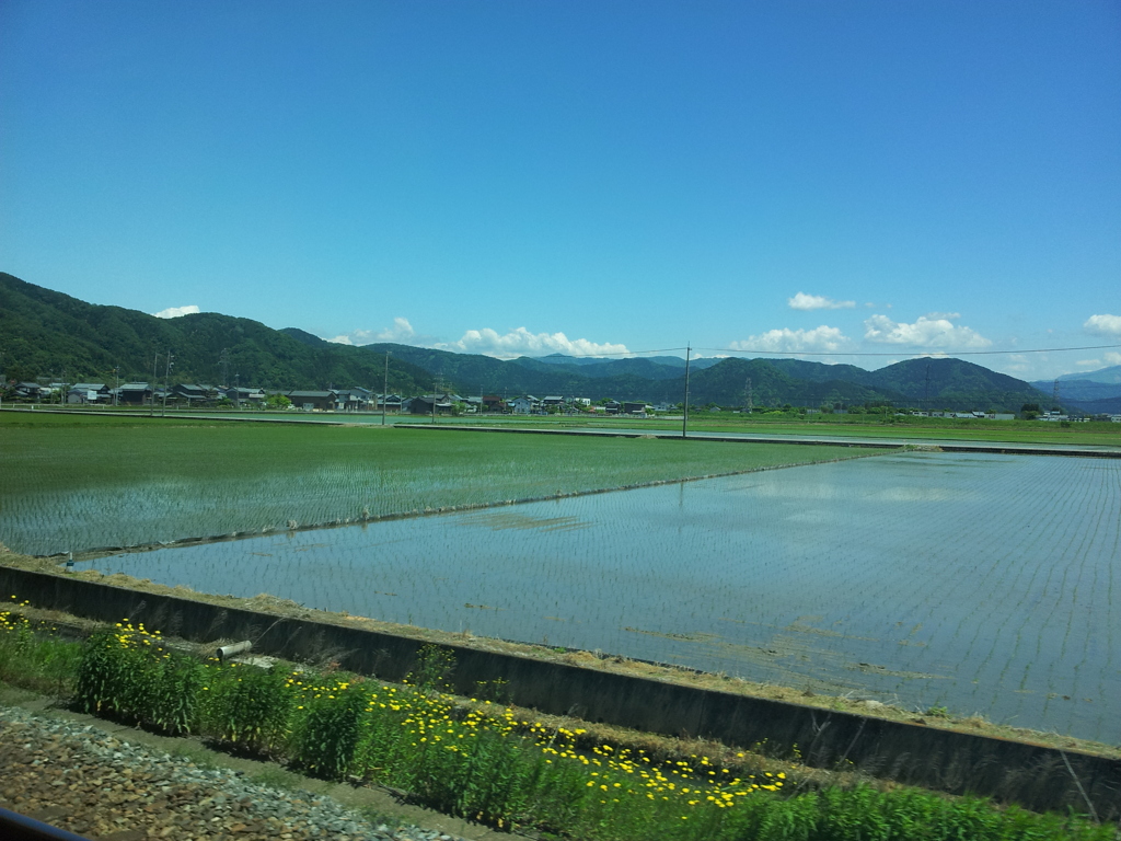 2017/05/18_武生〜福井間の車窓風景