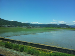 2017/05/18_武生〜福井間の車窓風景