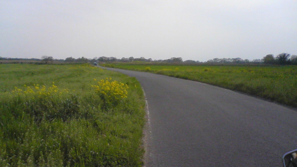 2011/04/17_河川敷の道