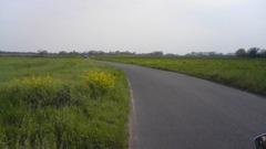 2011/04/17_河川敷の道