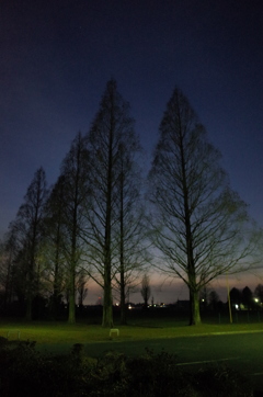 2014/12/28_川里中央公園の夕暮れ