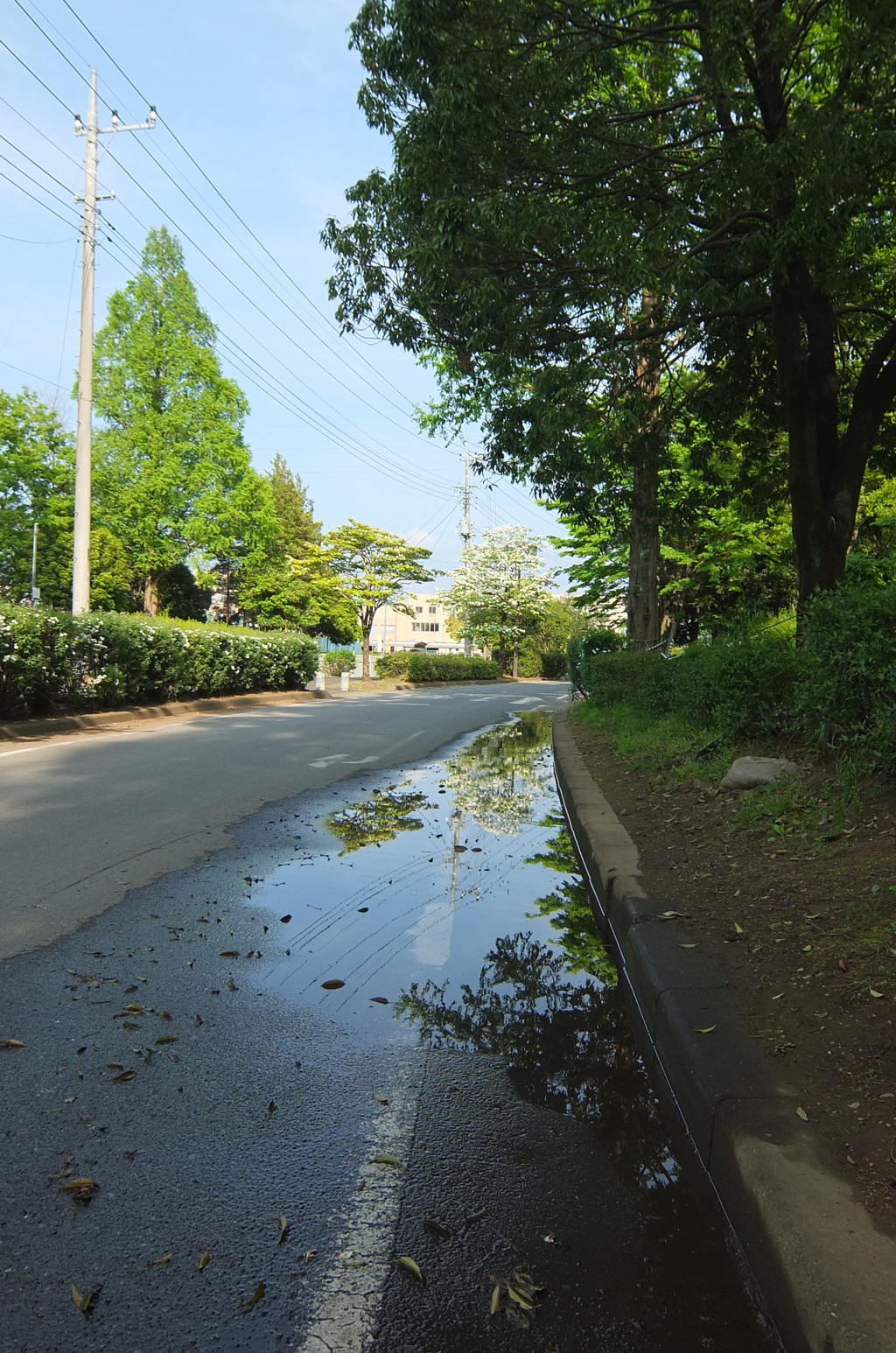2015/04/29_伊奈町制施行記念公園の水たまり