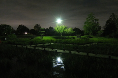 2015/10/04_夕暮れの平成の森公園