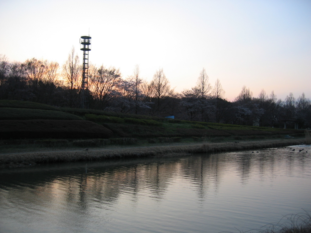2017/04/02_花の丘農林公苑の夕暮れ
