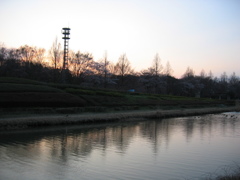 2017/04/02_花の丘農林公苑の夕暮れ