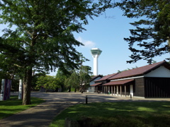 2016/08/13_五稜郭公園から五稜郭タワーを望む