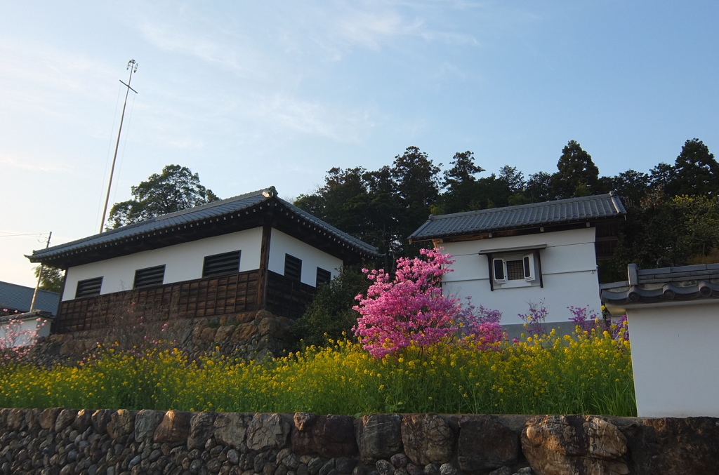 2014/04/12_夕暮れの高麗郷古民家と花