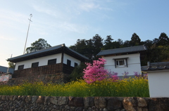 2014/04/12_夕暮れの高麗郷古民家と花