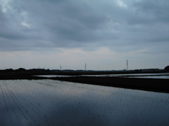 2017/05/27_水田の曇天