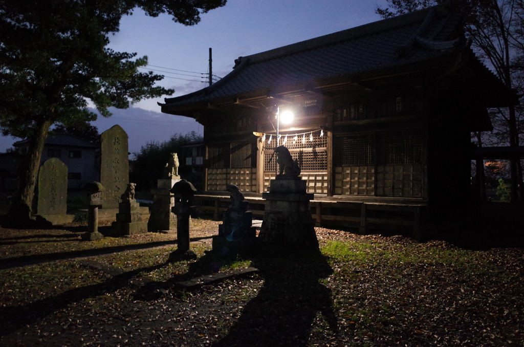 2014/11/23_夕暮れの氷川神社