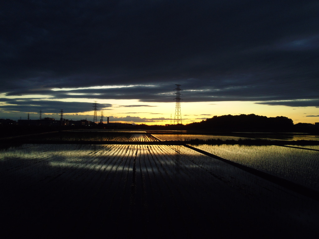 2017/06/04_水田の夕暮れ