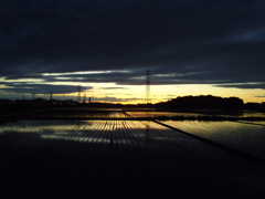 2017/06/04_水田の夕暮れ