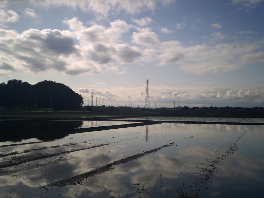 2017/05/14_水田に雲