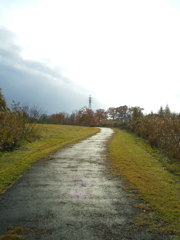 2016/11/13_三内丸山遺跡 ピクニック広場への道