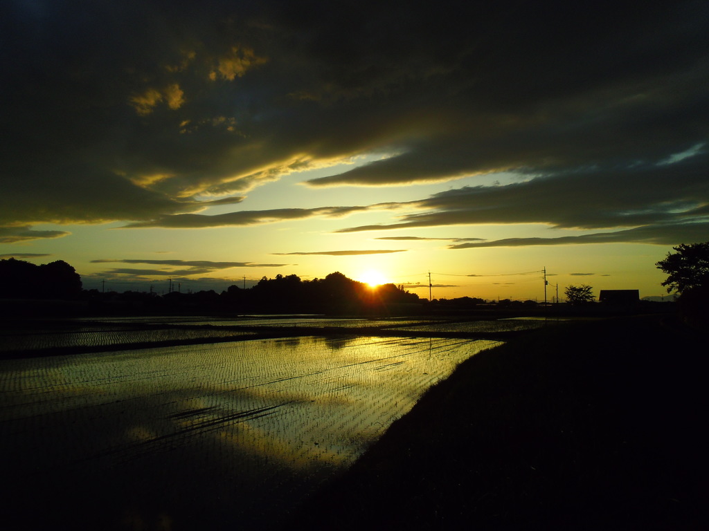 2017/06/04_水田の夕暮れ