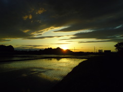 2017/06/04_水田の夕暮れ