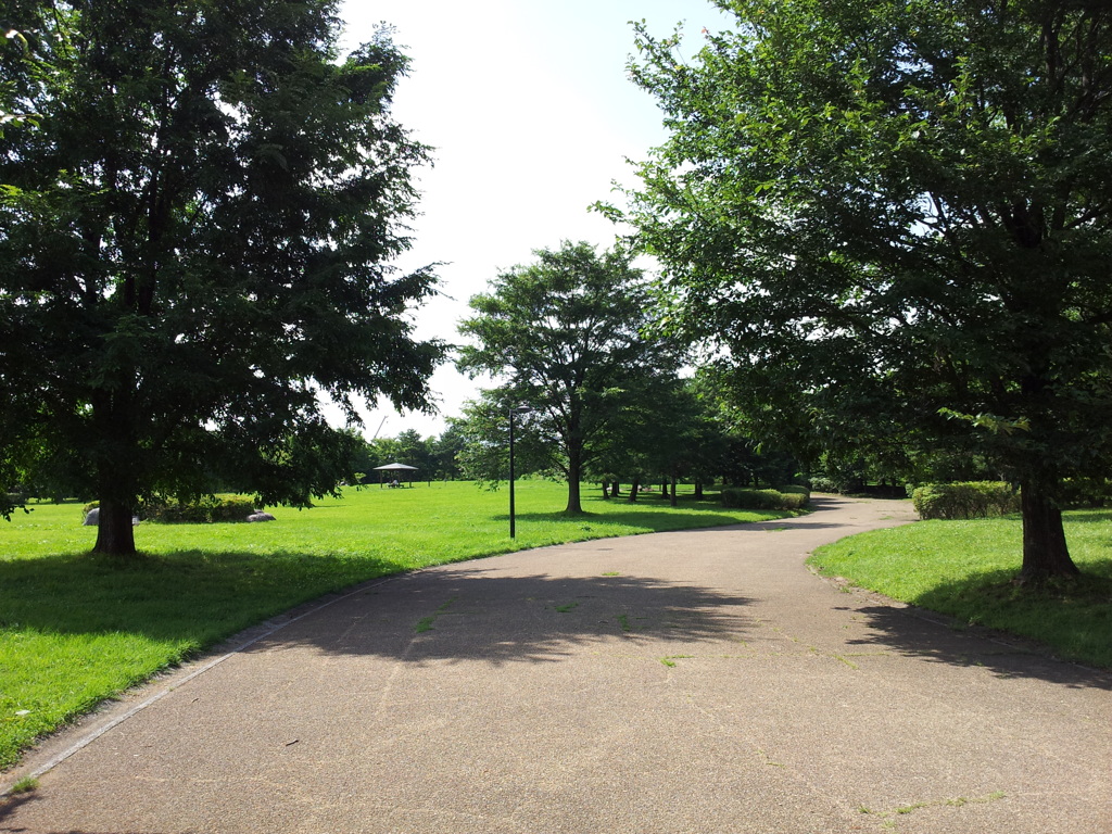 2018/07/14_中央公園