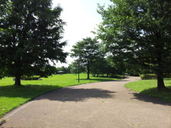 2018/07/14_中央公園