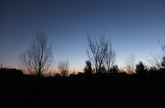 2015/02/15_夕暮れの秋葉の森総合公園