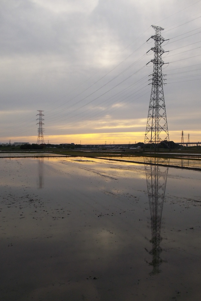 2015/05/31_水田の夕暮れ