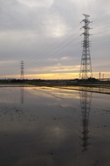 2015/05/31_水田の夕暮れ