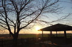 2014/03/15_夕暮れ