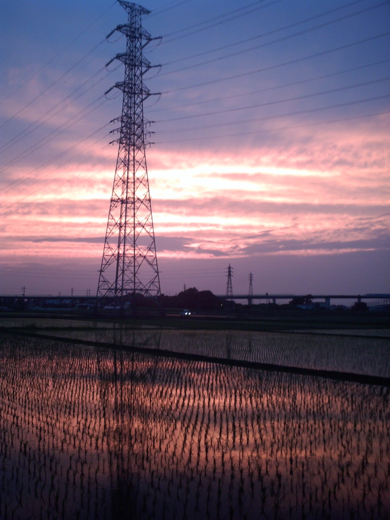2015/06/14_水田の夕暮れ