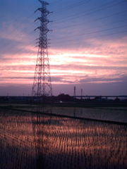 2015/06/14_水田の夕暮れ