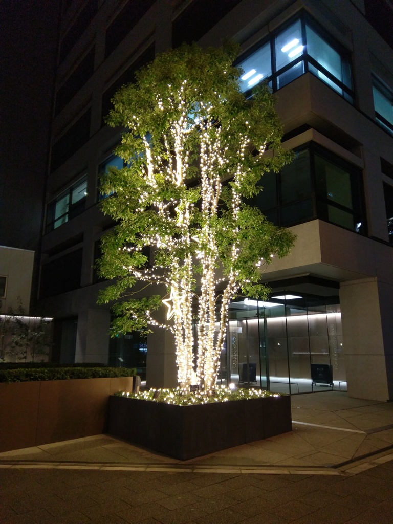 2019/02/06_オフォスビルのイルミネーション