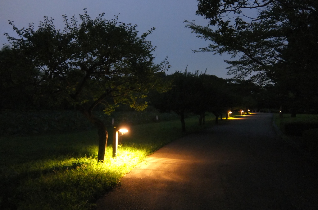 2014/08/17_夜のさきたま古墳公園