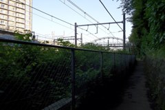 2016/05/04_飛鳥の小径