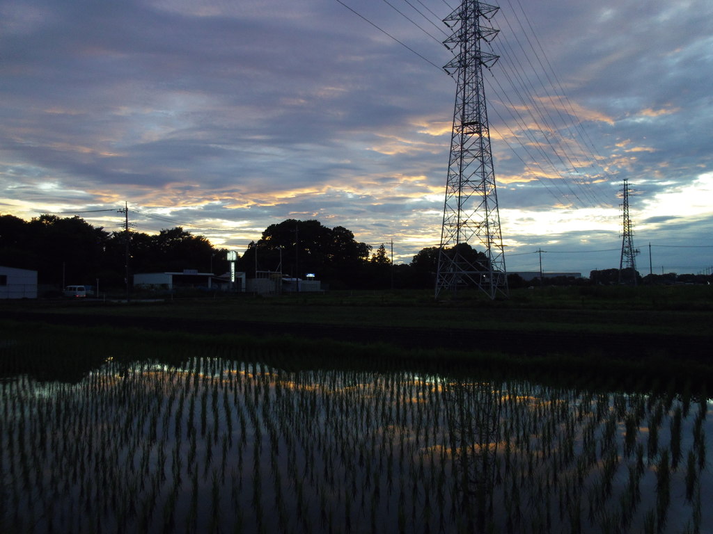 2017/07/01_水田の夕暮れ