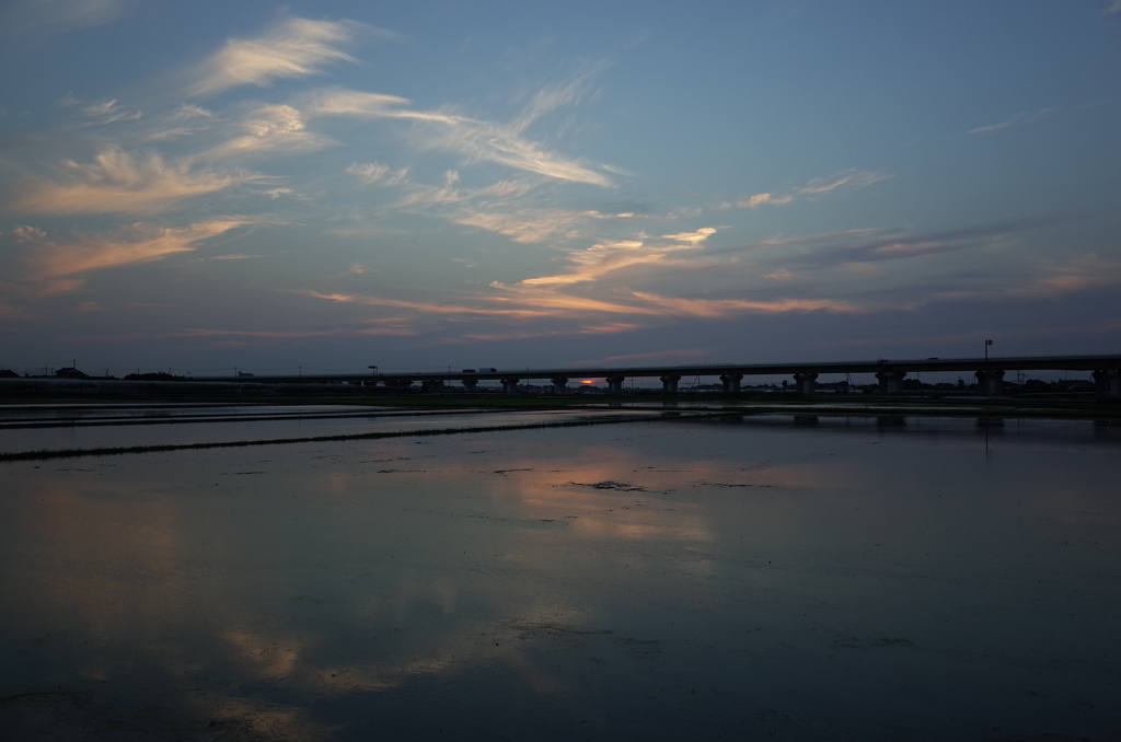 2016/06/18_水田の夕暮れ