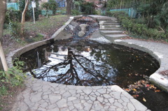 2014/11/15_鴨川みずべの里