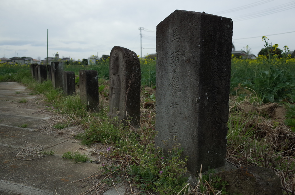 2016/04/03_馬頭観音群