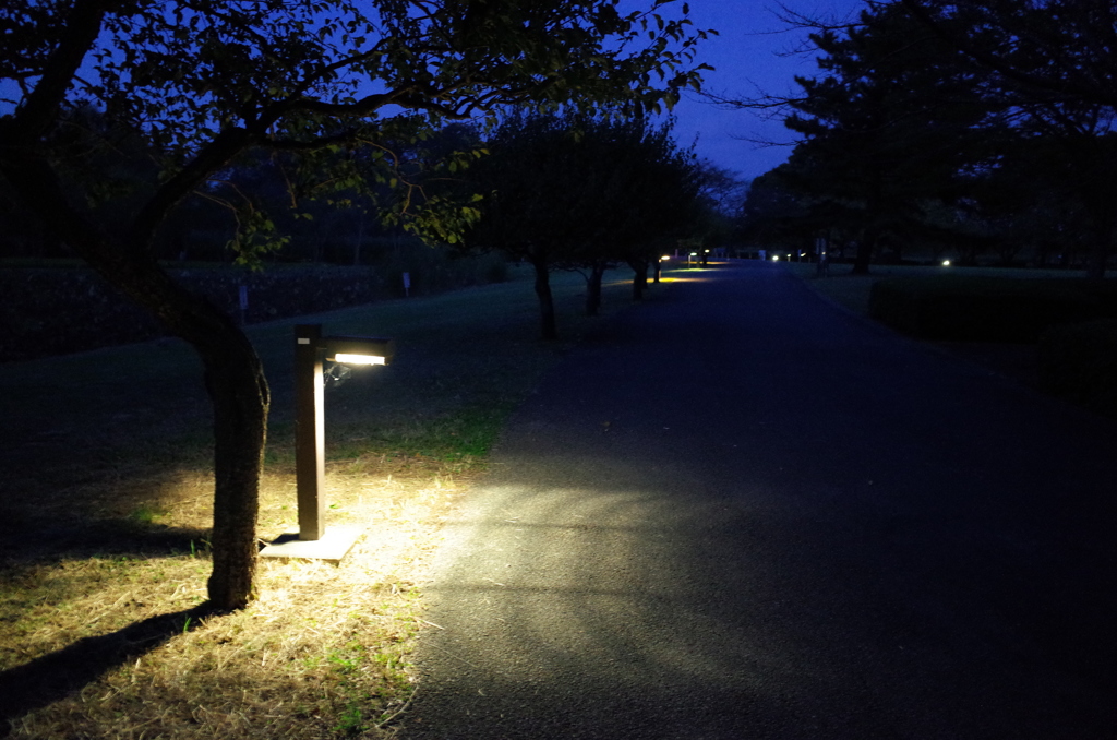 2014/10/19_夕暮れのさきたま古墳公園