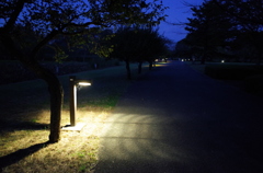 2014/10/19_夕暮れのさきたま古墳公園