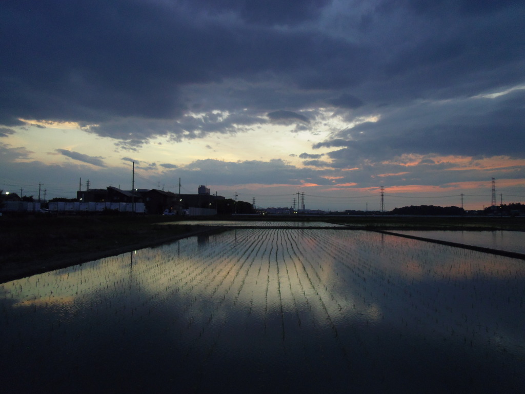 2017/06/10_水田の夕暮れ
