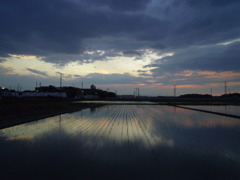 2017/06/10_水田の夕暮れ