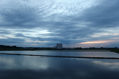 2015/06/21_水田の夕暮れ